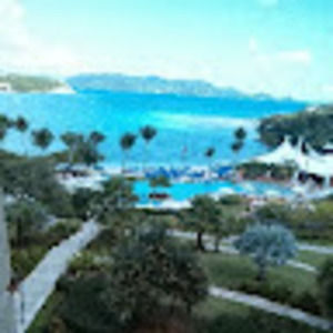 Meet your Posher, Tessa